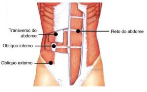 exercícios coluna