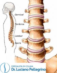 dor coluna lombar